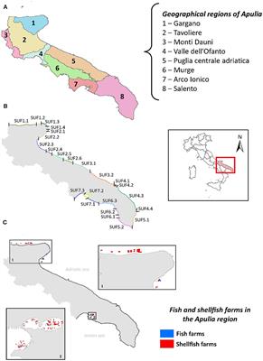 Climate impacts and adaptation strategies for coastal erosion, aquaculture, and tourism along the Adriatic side of Apulia region